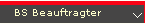 BS Beauftragter